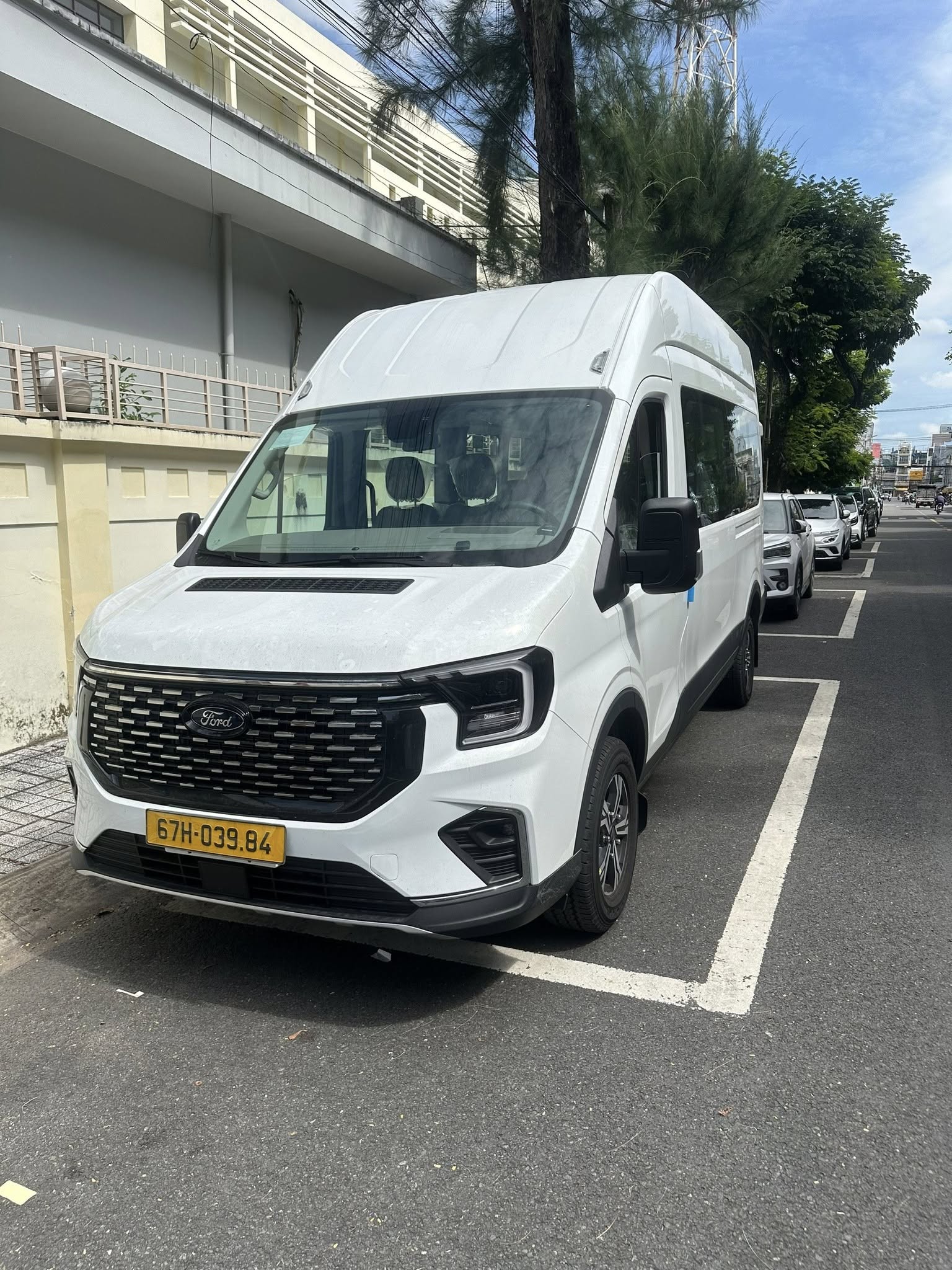Ford transit limousine