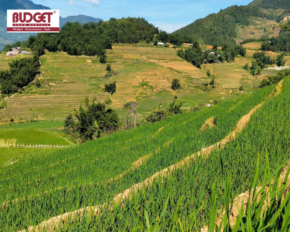 Beautiful-green-terraced-rice-fields-in-Sapa-a-popular-destination-for-scenic-driving-tours
