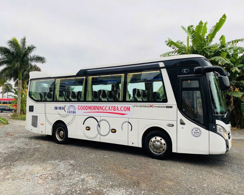Good Morning Bus