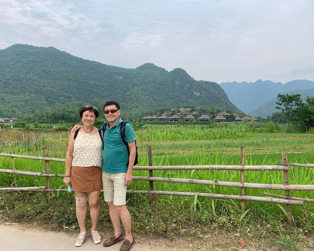 the green rice fields