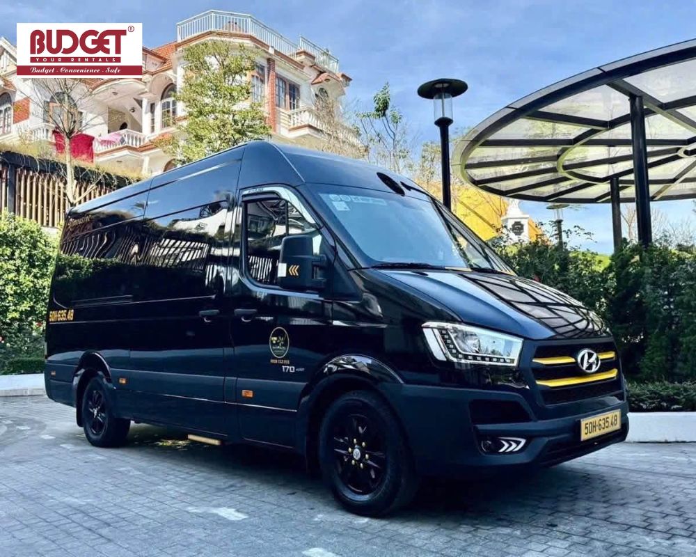 Our-black-Hyundai-Solati-limousine