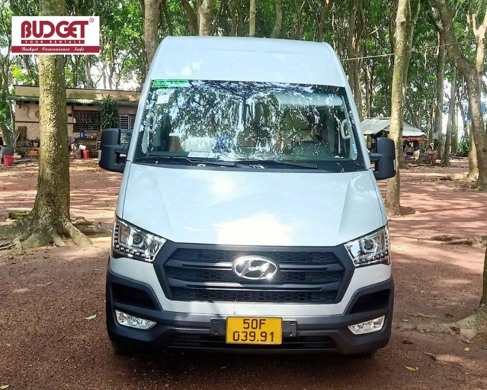 Our-silver-Hyundai-Solati-parked-under-the-shade-of-tropical-trees