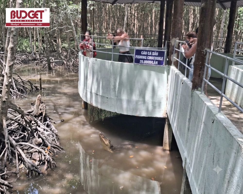 Tourists-enjoying-a-crocodile-fishing-experience