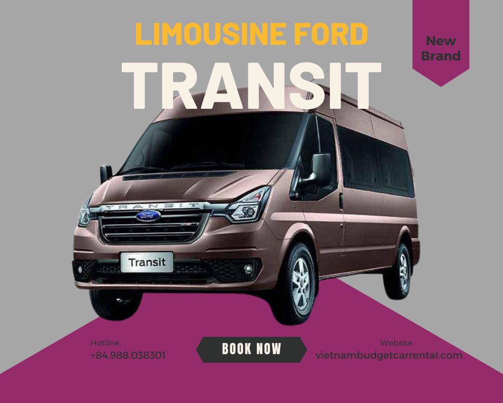 Ford Transit Car