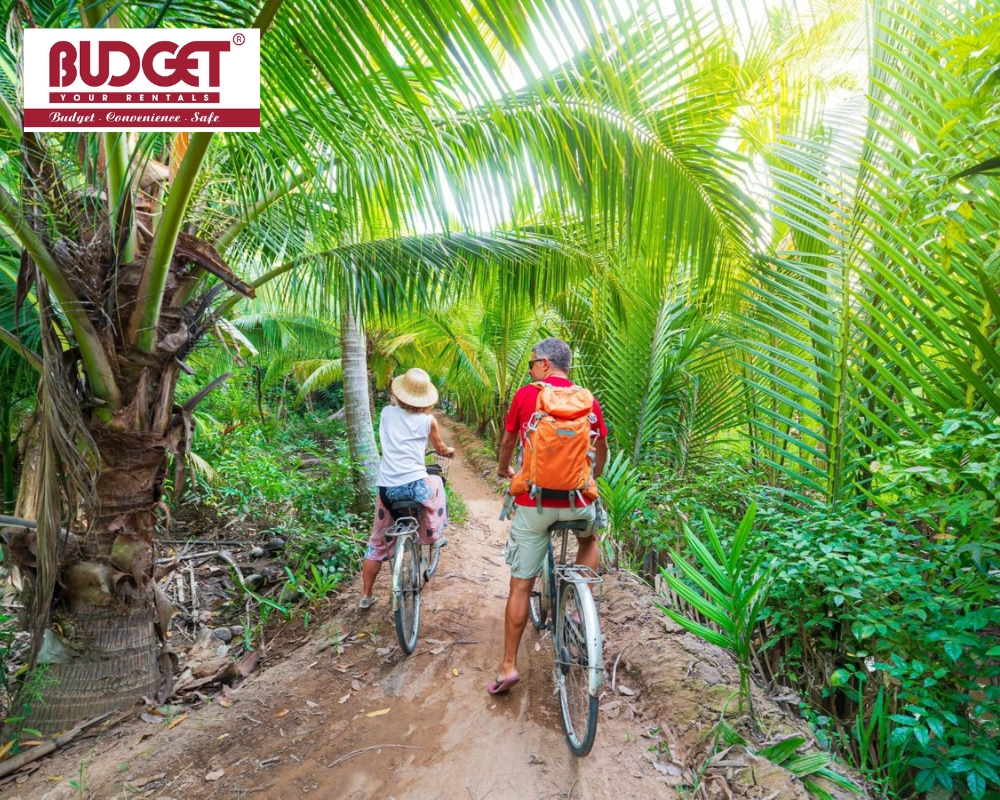 Tourists leisurely cycling along peaceful, coconut-shaded paths at Con Quy