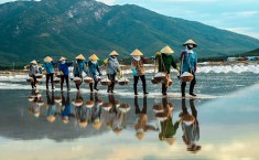 Vietnam Absolute Highlights From North To South Regions