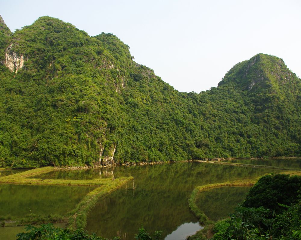Best time to visit Cat Ba Island is during the dry season, which spans from October to April