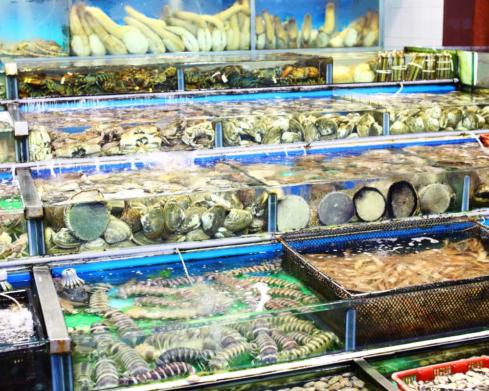 Seafood Fish Tanks