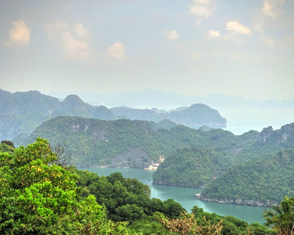 Top view Cat Ba island from mountain