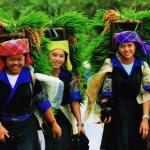 Sapa Vietnam travel guide