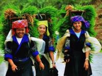 Sapa Vietnam travel guide