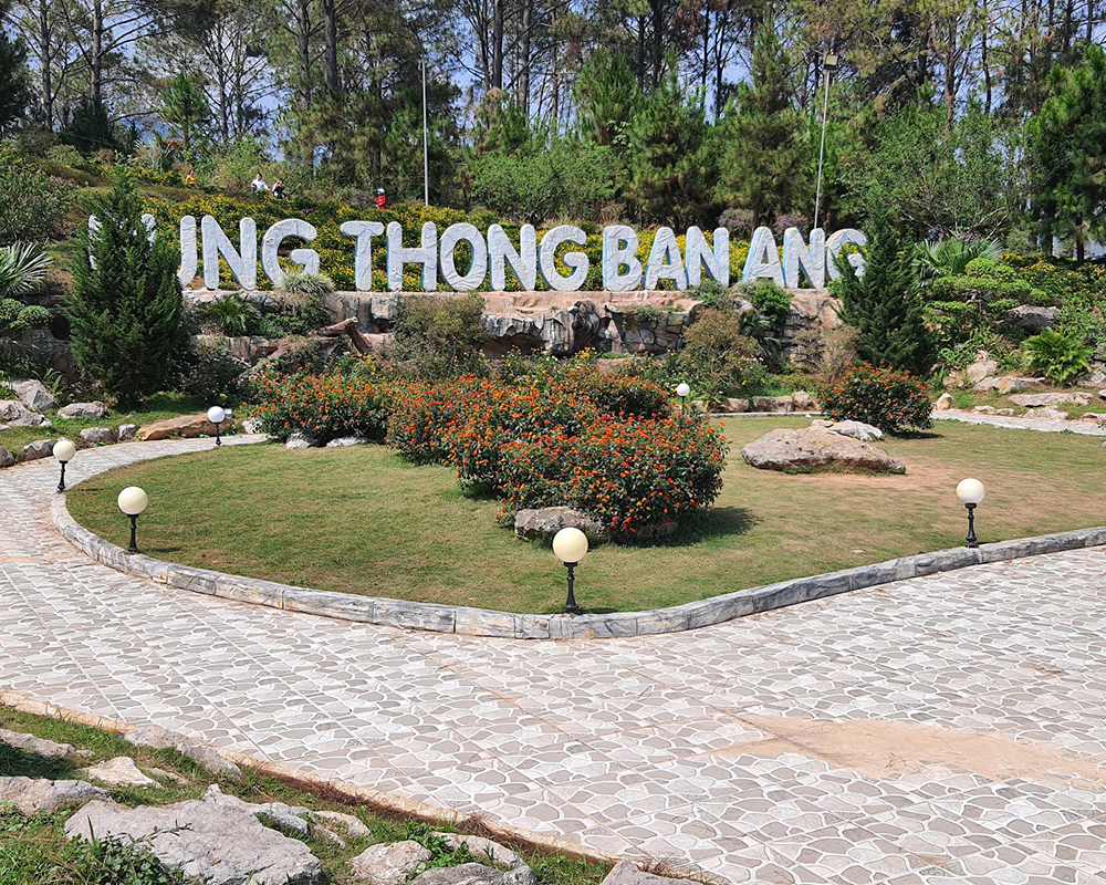 Pine-Forest-of-Ban-Ang-Moc-Chau