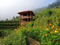 The Top Homestays In Mu Cang Chai district, Yen Bai province