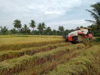 Mekong Delta's Vinh Long