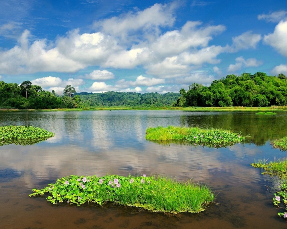 Crocodile-Lake-at-Cat-Tien-National-Park