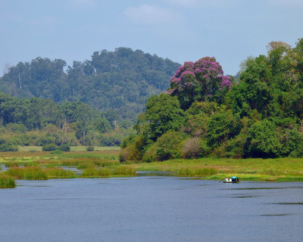 Prepare-For-The-Trip-To-Cat-Tien-National-Park-With-Insider-Guide