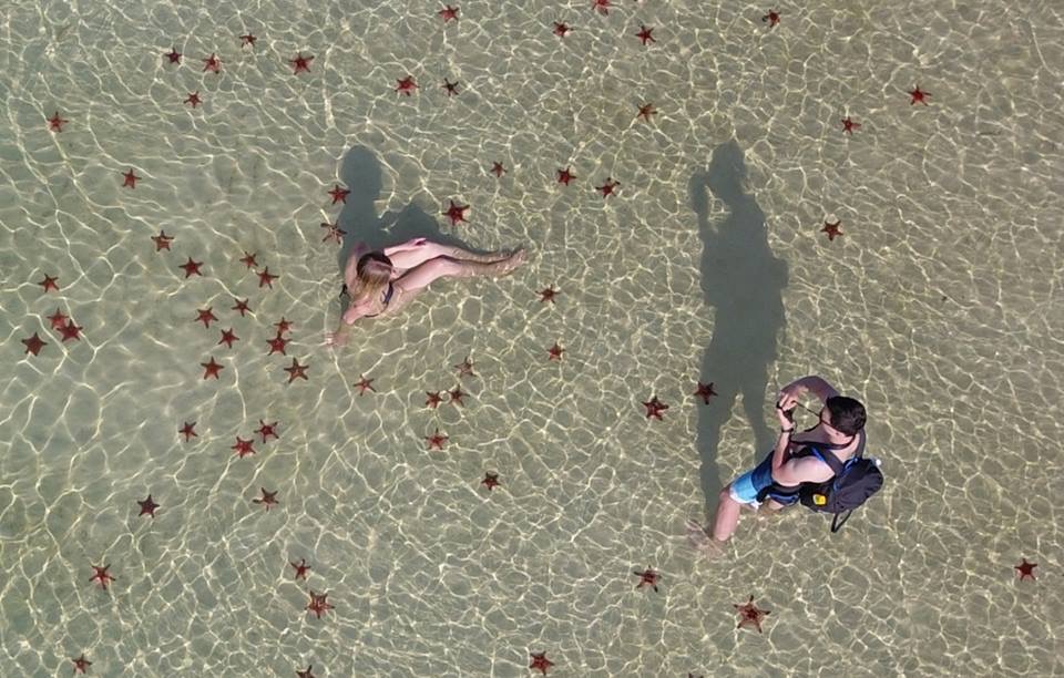 Starfish-beach-Phu-Quoc-6