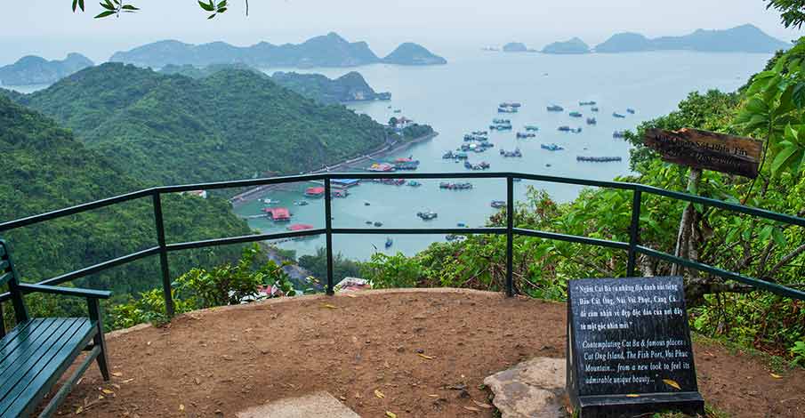 Top-12-things-to-do-in-Cat-Ba-Vietnam-9