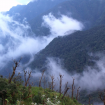 Visit Hoang Lien National Park: Comprehensive Travel Guide