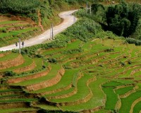 Top 10 Best Things To Do In Sapa 2024