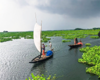 When Is the Best Time to Visit Vietnam's Mekong Delta?