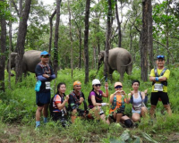 Yok Don National Park in Dak Lak, Vietnam: Uncover the Splendors