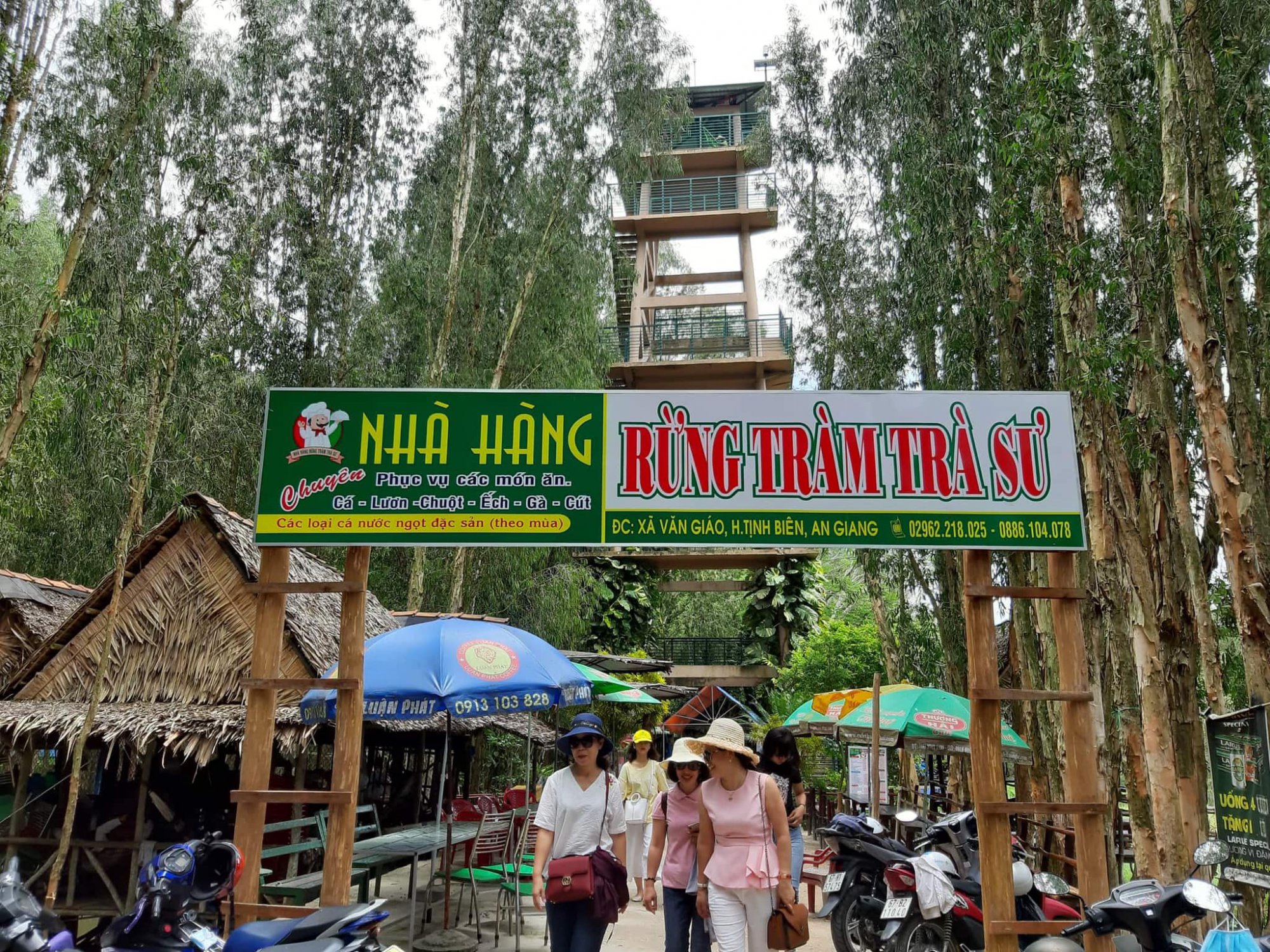 a-travel-guide-to-tra-su-cajuput-forest-vietnam-2024-9