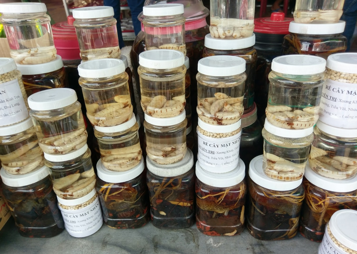 Sale of various insects at Tinh Bien Market