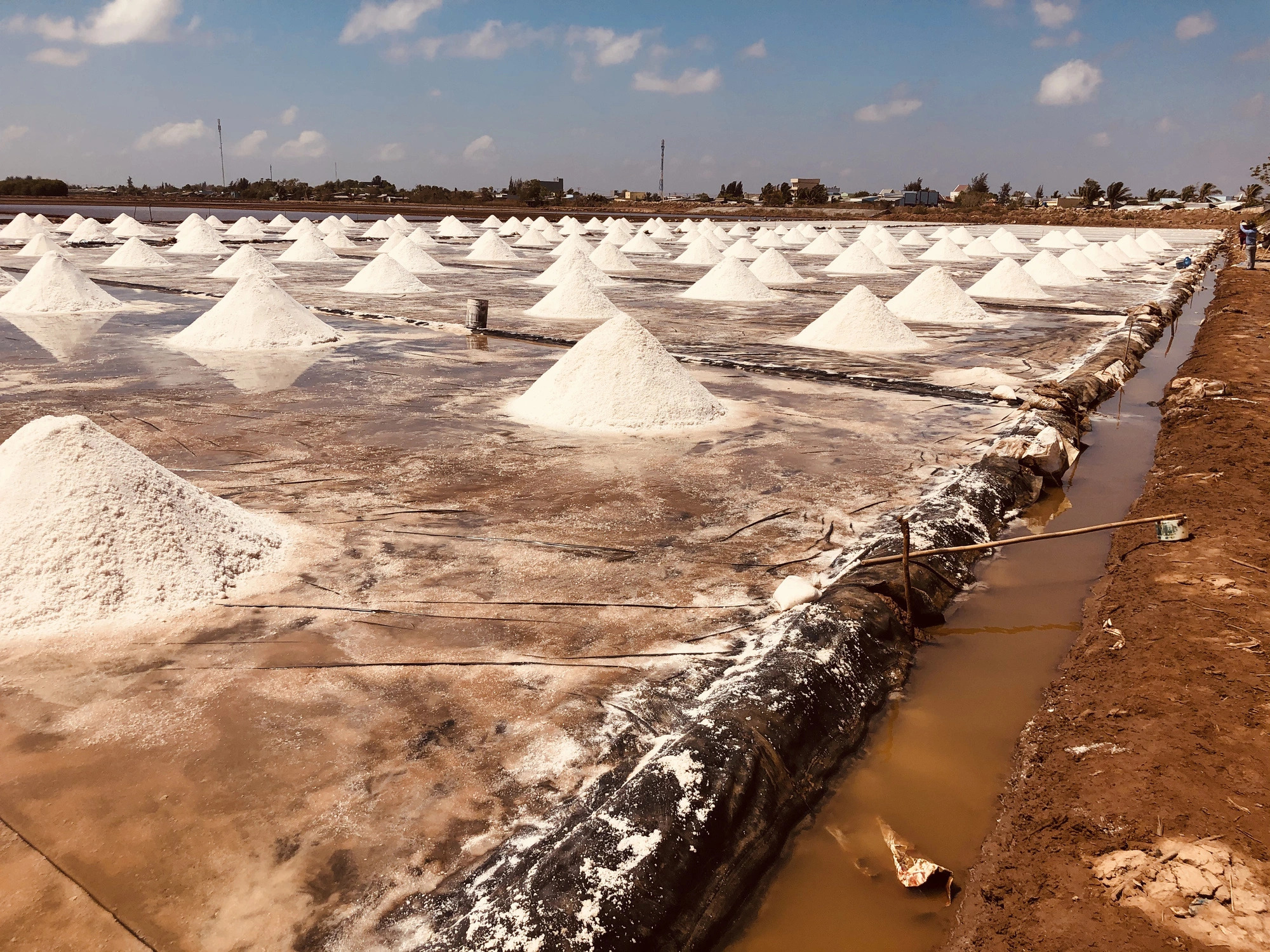 The Salt Field in Bac Lieu