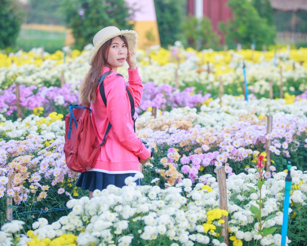 A traveler enjoys the vibrant flower fields at Dalat Flower Festival.