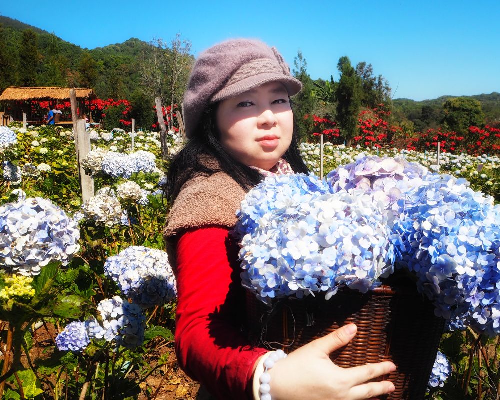 A visitor holds a basket of hydrangeas at Dalat's colorful gardens.