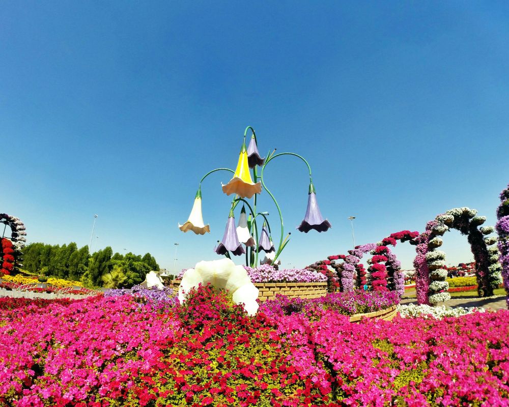 Beautiful floral exhibition at Dalat Flower Festival.