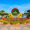 Dalat Flower Festival: Top Things to See & Do