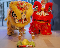 All Things You Need To Know About Lion Dance in Vietnam