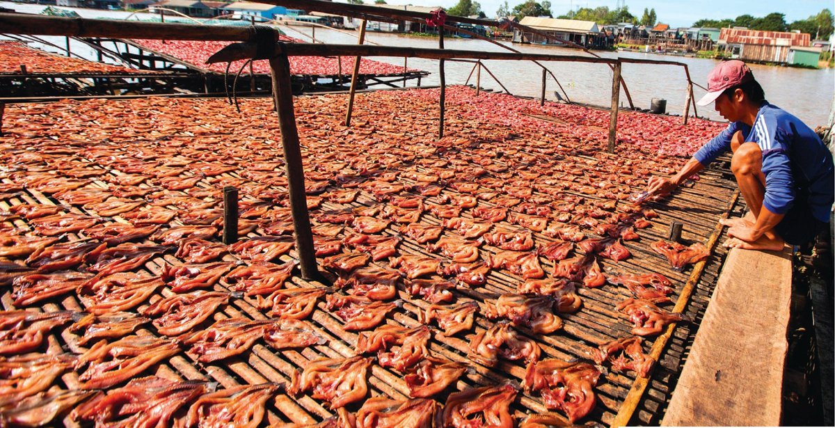 A local resident here is drying fish