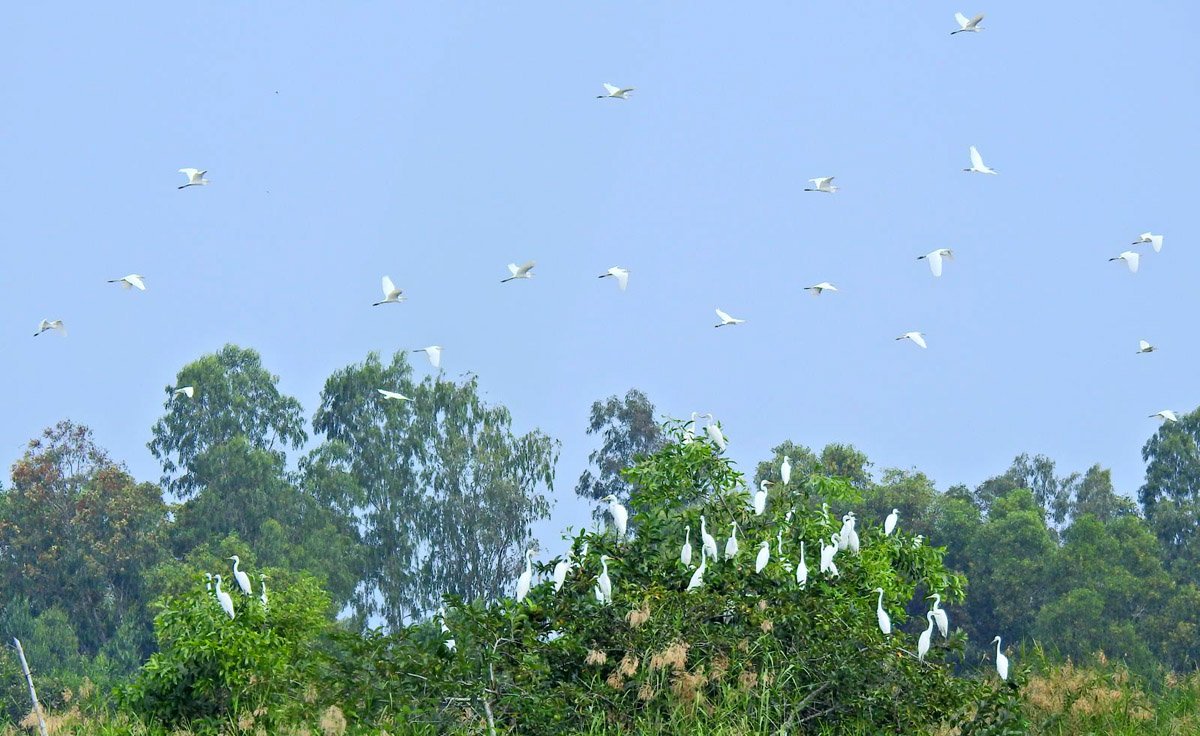 Unique bird garden right in the heart of the city