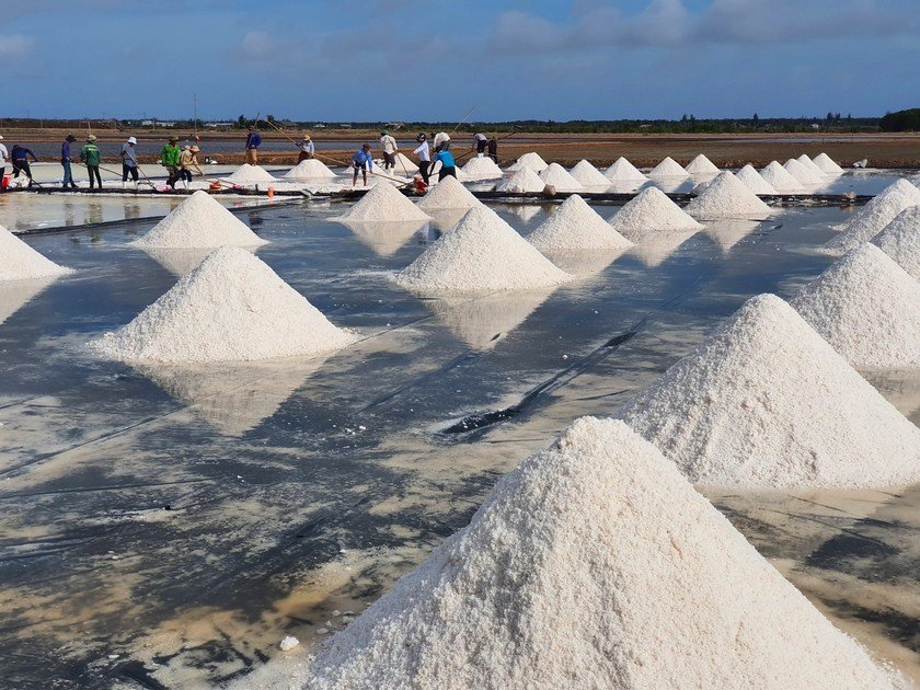 Visiting the Salt Farm in Bac Lieu in the morning