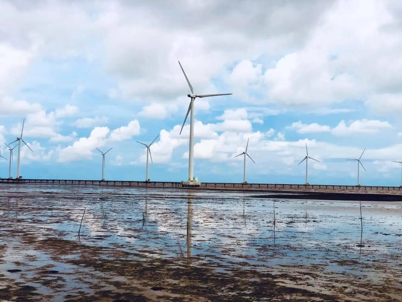 A beautiful view of The Wind Farm in Bac Lieu