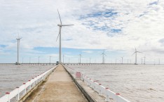 Discovering The Wind Farm in Bac Lieu - What To See?