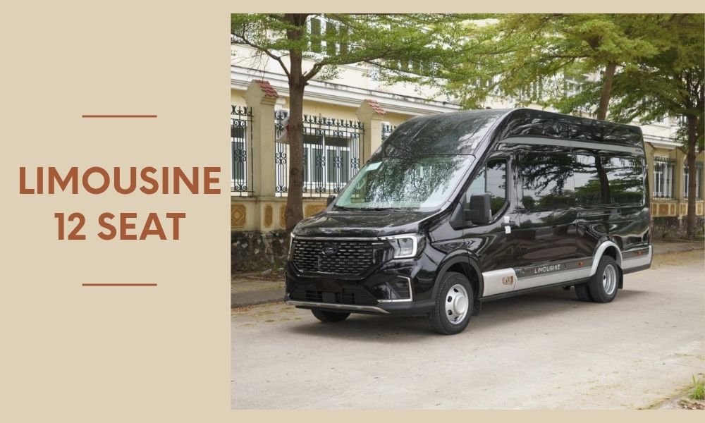 Black-Limousine-luxury-12-seat