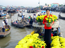 Cu Chi Tunnel Mekong delta Tour 1Day,Car Rental In Ho Chi Minh