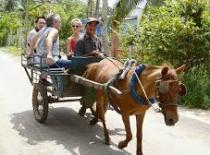 Mekong Delta Tour Cai Be Floating Market 1 Day From Ho Chi Minh