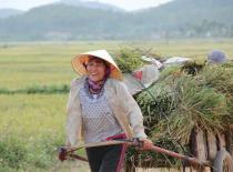 Mekong delta tour 3days exit to Cambodia